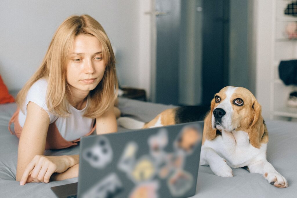Checking email marketing with dog